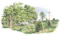 Nr.1051 Lunden – Kronoberg Nr.1051 Lunden – Kronoberg
