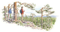 Nr.1060 Änga-Tjännåsen Nr.1060 Änga-Tjännåsen