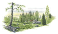 Nr.112 Nr.112