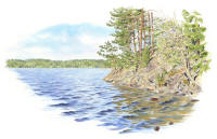 Nr.1161 Nr.1161