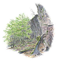 Nr.325 Nr.325
