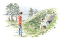 Nr.600 Nr.600