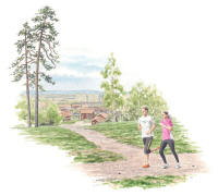 Nr.667 Nr.667