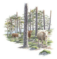 Nr.775 Torrön – Gryt Nr.775 Torrön – Gryt