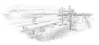 Nr.836 Stenstranden - Gotland Nr.836 Stenstranden - Gotland