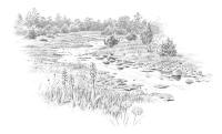 Nr.850 Bäcken, Bästeträsk - Gotland Nr.850 Bäcken, Bästeträsk - Gotland