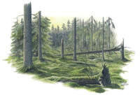 Nr.90 Nr.90